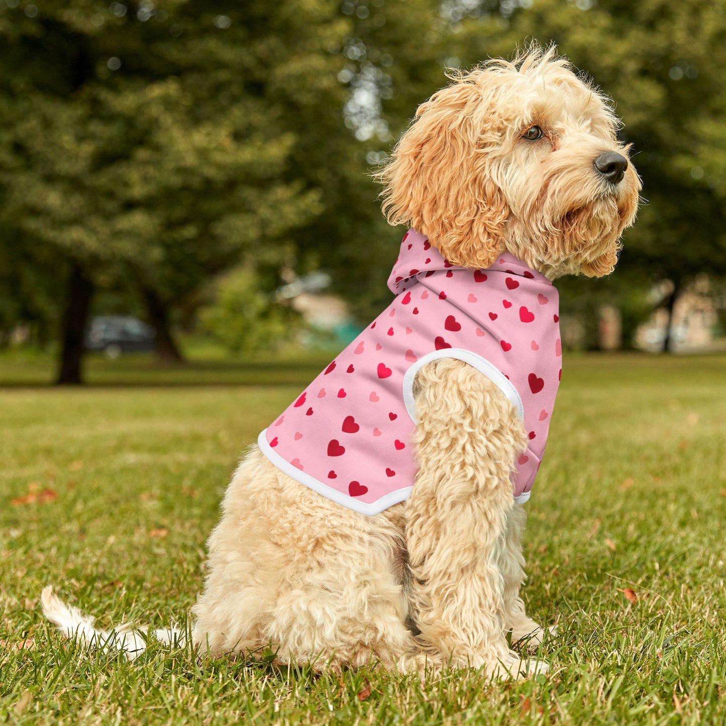 Pink Pet Hoodie with Red Hearts
