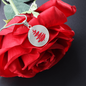 Douglass College Red Fir Tree Graphic Necklace