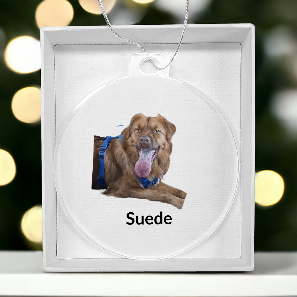Custom Dog Photo Chistmas Ornament