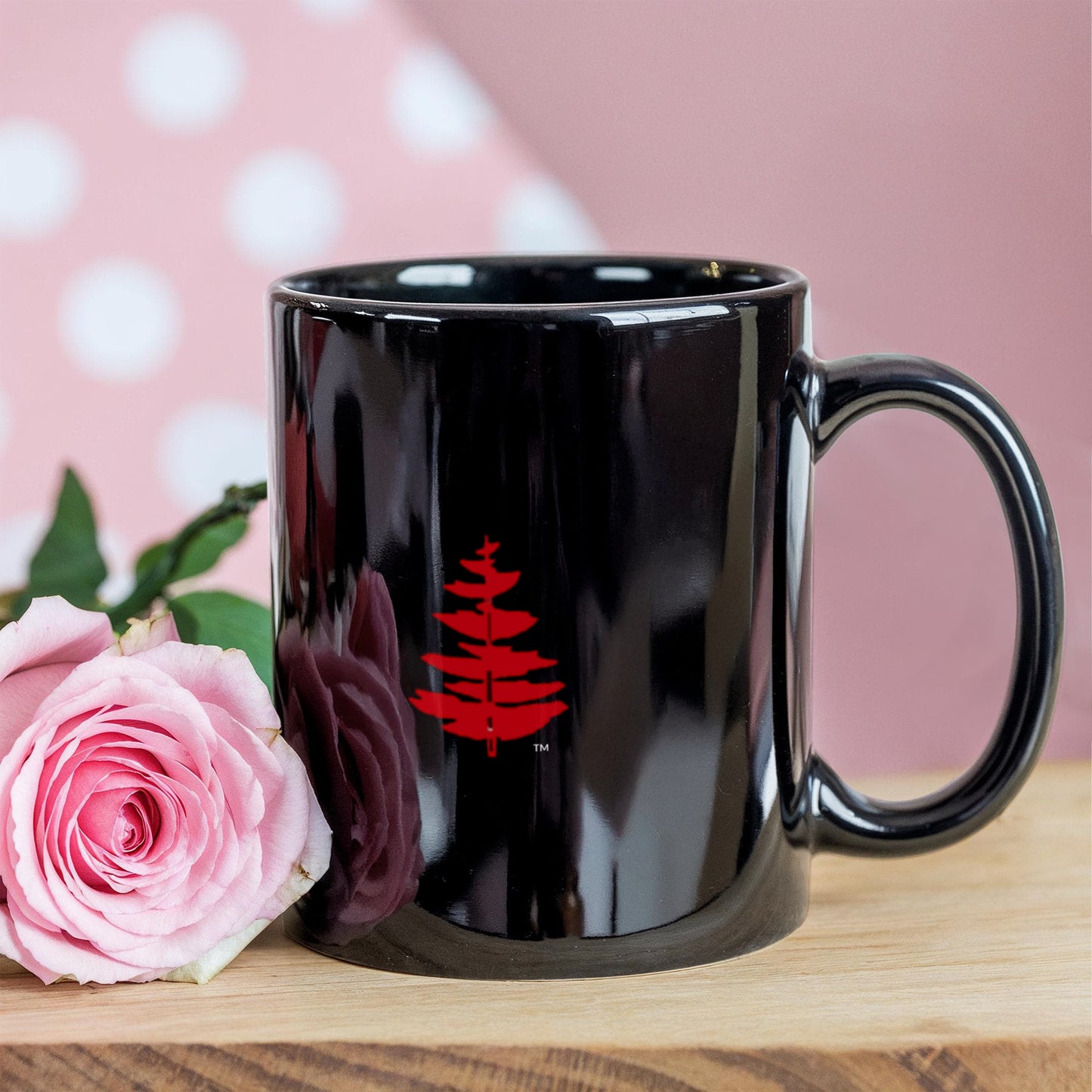 Douglass Collge Fir Tree 11 oz Black Mug