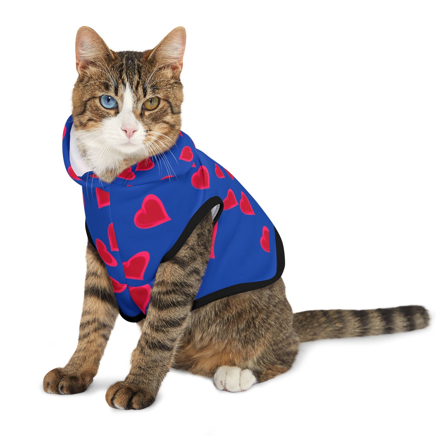 Blue Pet Hoodie with Red Heart