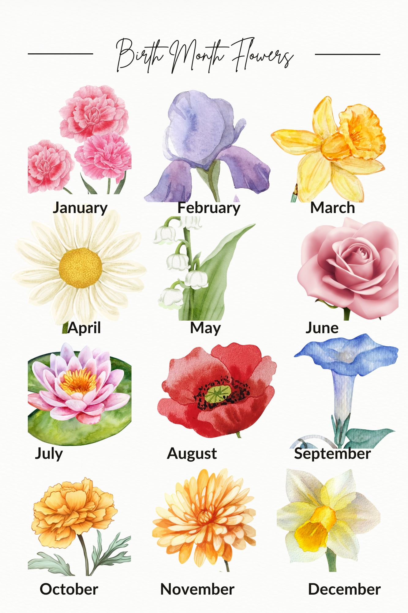 1 Birth Month Flower Makeup Bag for Vasios Law