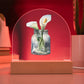 Calla Lilys in a Jar Flowers In A Jar Forever Bouquet Domed Acrylic Plaque & Night Light