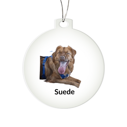 Custom Dog Photo Chistmas Ornament
