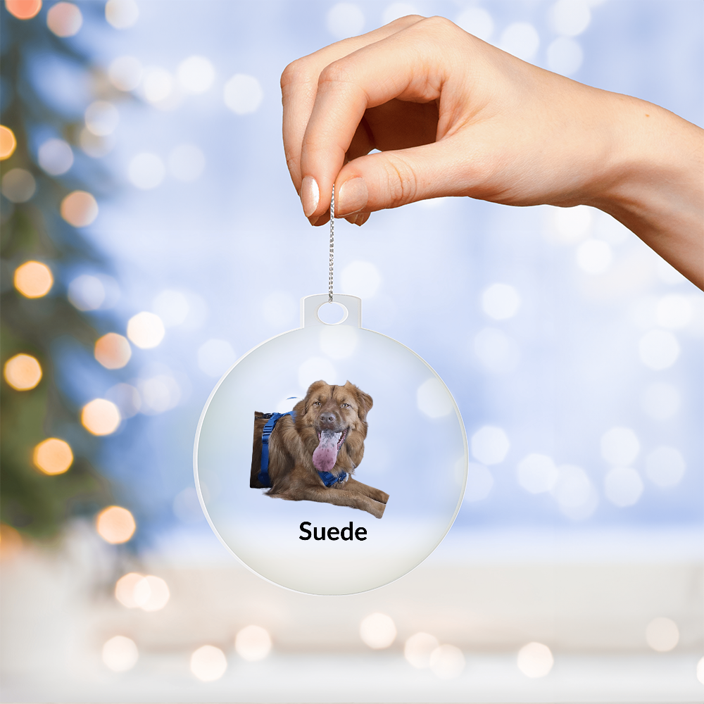 Custom Dog Photo Chistmas Ornament