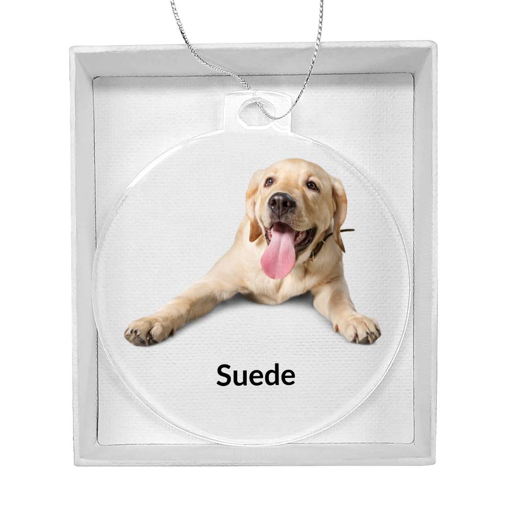 Personailzed Dog Photo Christmas Ornament