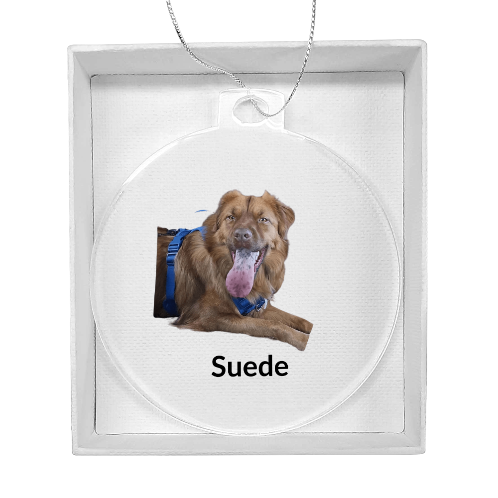 Custom Dog Photo Chistmas Ornament