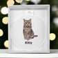 Personailzed Cat Photo Christmas Ornament