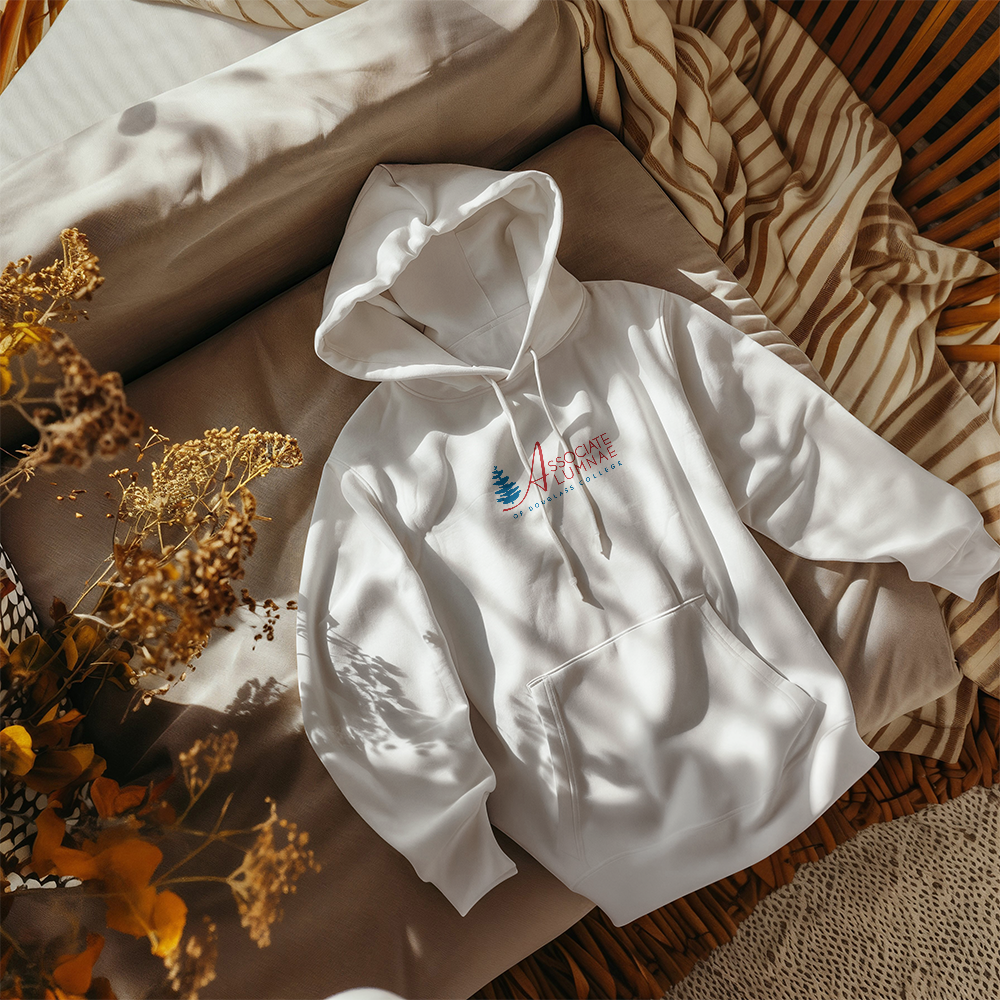 AADC Logo - Gildan Pullover Fleece Hoodie - 2