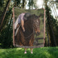 Carol's Photo Blanket 2
