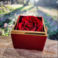 Love  Knot Necklace in Luxurious Gift Box with Preserved Red Rose