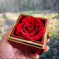 Love  Knot Necklace in Luxurious Gift Box with Preserved Red Rose