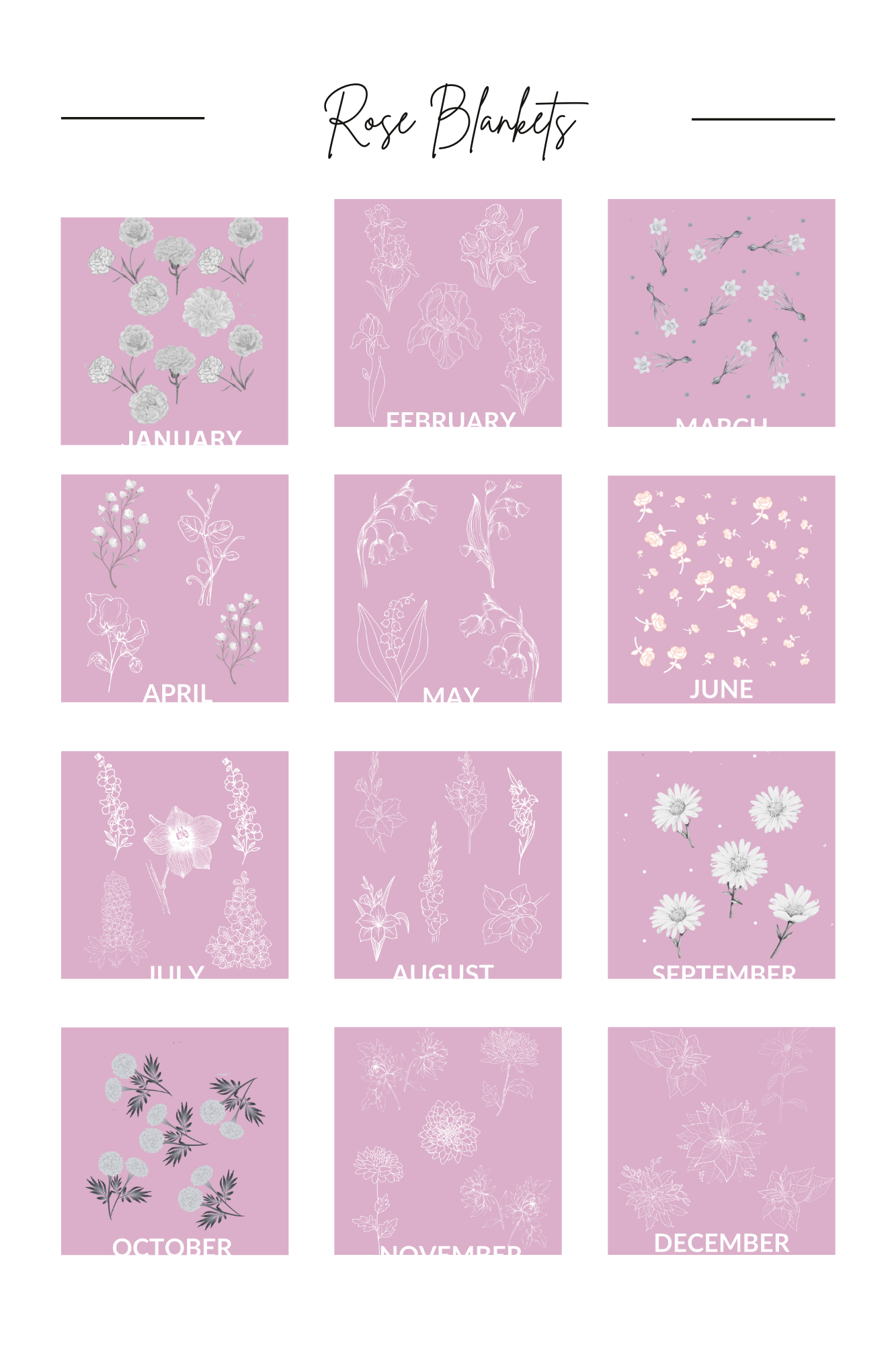 Aqua - January - Carnation Heirloom Birth Month Flower Woven Blanket