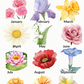 Personalized Birth Month Flower Fabric Zipper Pouch - Small - Feb