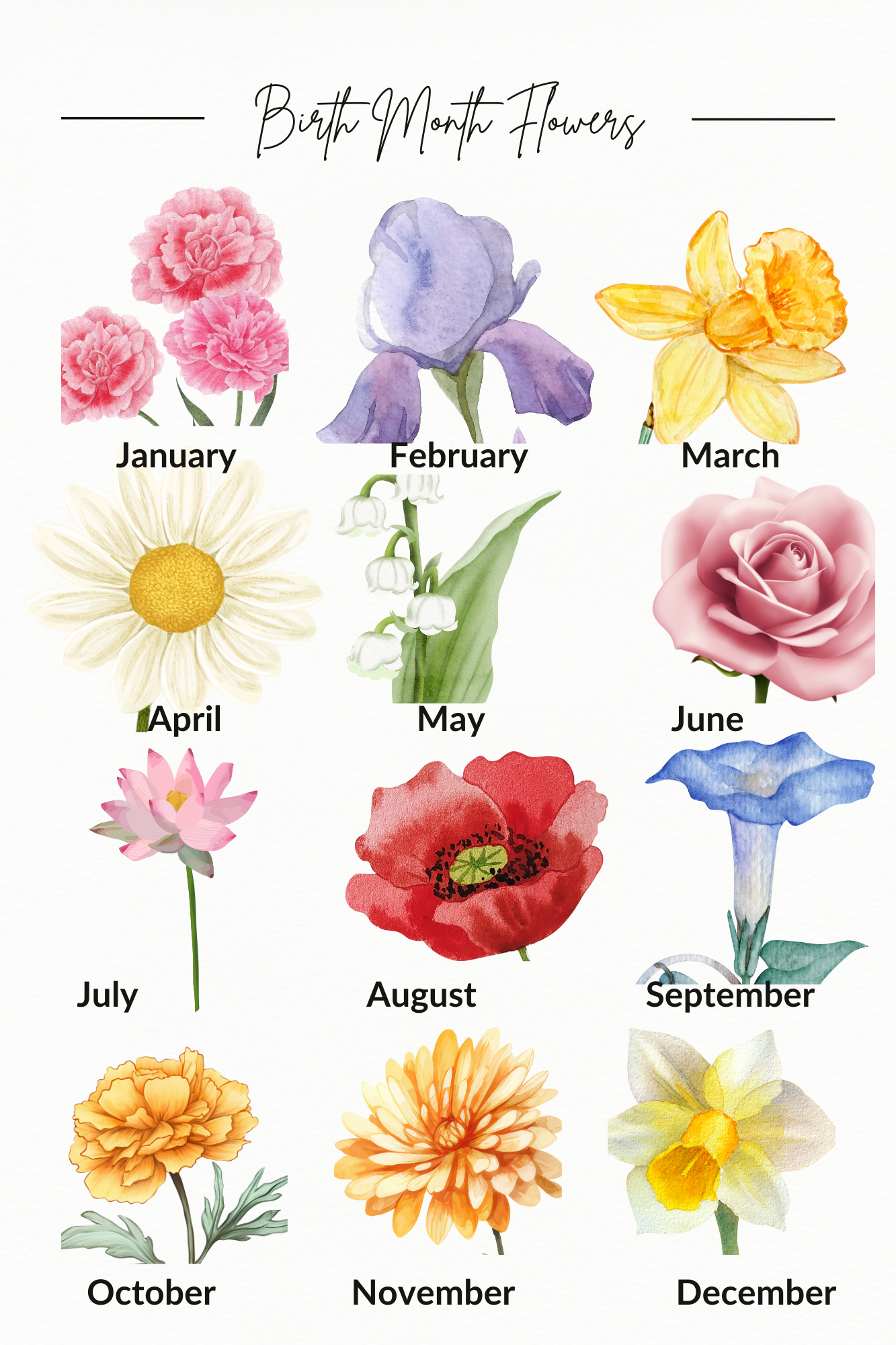 Apr - Personalized Custom Birth Month Flower Journal
